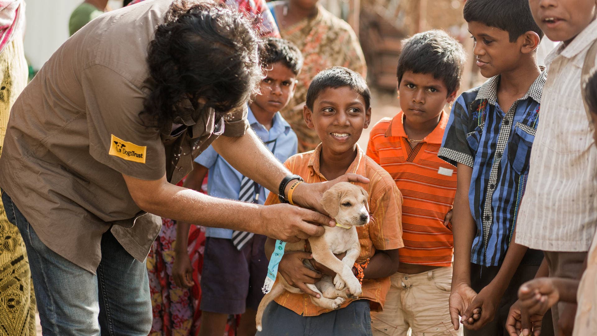 Picture of a team member vaccinating a dog